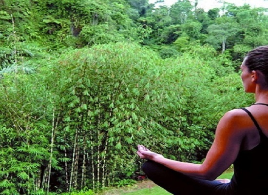How could Ayurveda help with Stress-relief?