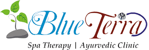 Blueterra Logo