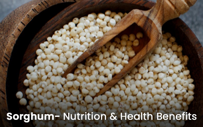 Health benefits of adding sorghum to your diet