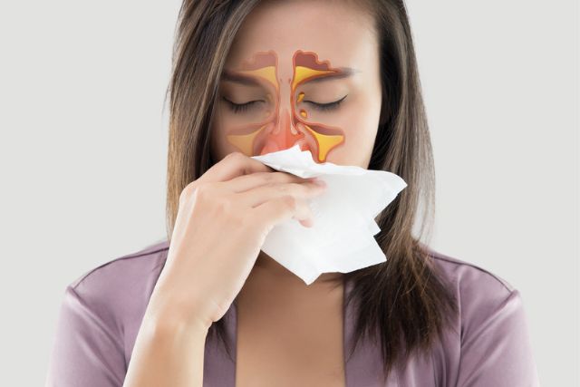 Sinuses refer to a system of cavities that connect your nose and skull.
