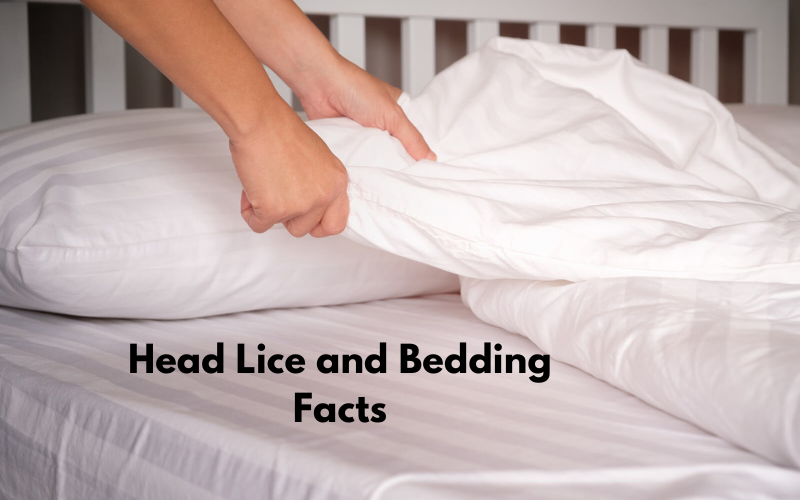 Does Head Lice Stay Alive on Pillows and Sheets?